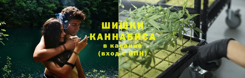 Бошки Шишки SATIVA & INDICA  omg   Ковдор  купить закладку 